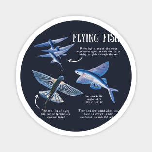 Animal Facts - Flying Fish Magnet